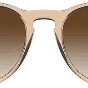 Ray-Ban RB4171 Erika Round Sunglasses